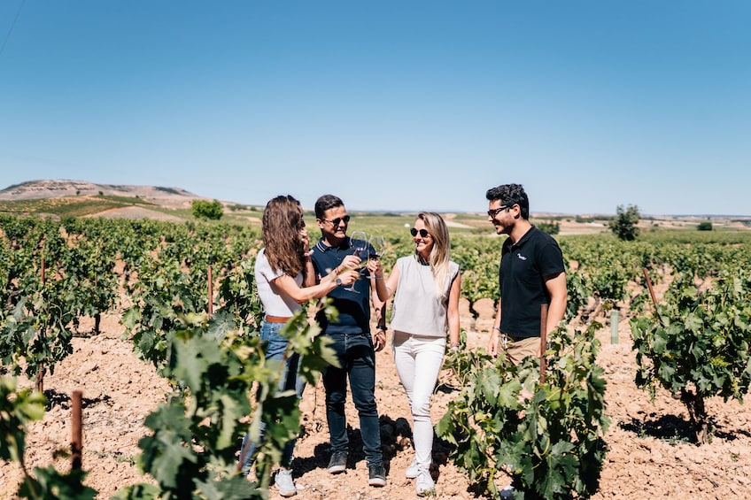 Premium Winery Tour: Ribera del Duero, Peñafiel & Top Wineries Experience