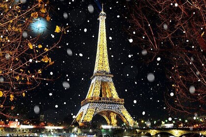 Tour DE Paris - Eiffel Tower, Sacred Heart and more