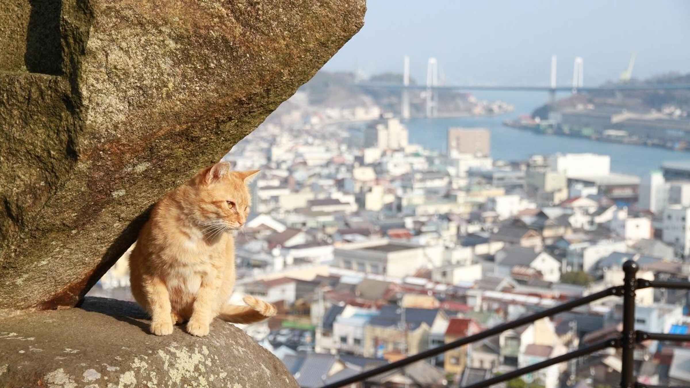 From Hiroshima/Fukuyama:1 Day Bus tour in Onomichi Tomonoura