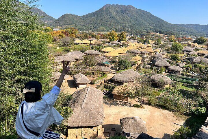 Highlights of Jeollanam-do; Naganeupseong, Green tea field & BBQ