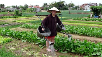 Tra Nhieu and Tra Que vegetable village tour from Hoi An