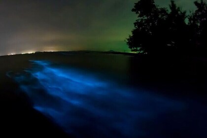 Magic Night in the Lagoon of Manialtepec Bioluminescence