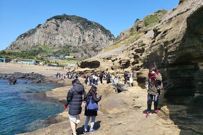 Jeju Island Private Charter Regular Taxi Tour and Free Schedule