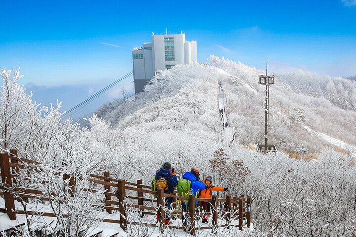 Busan Discovery Tour with Snow and UNESCO Spot
