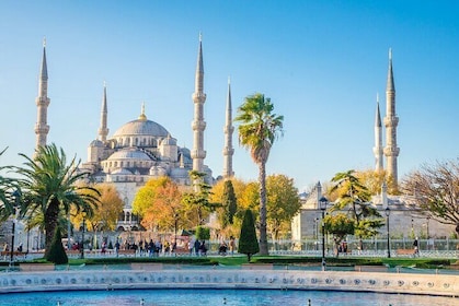 Istanbul Private Guided Tour with VIP Van, Skip-the-Line Tickets
