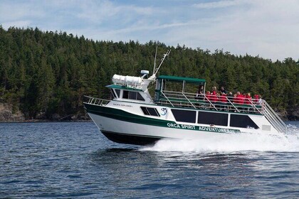 Winter Victoria Whale and Wildlife Covered Vessel Tour