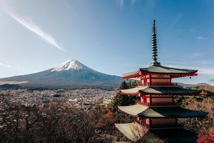 Premium Mount Fuji Expedition: "Fuji's Sacred Circle"