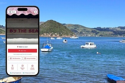 Otago Harbour by Bike: A Self Guided Tour