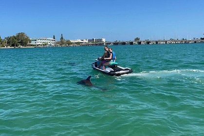 Explore Hidden Islands and Dolphins Jet Ski Adventure