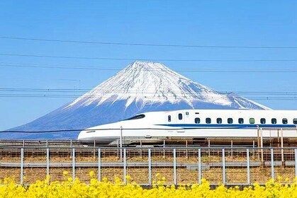 Mt. Fuji and Hakone Day Tour with Bullet Train Return