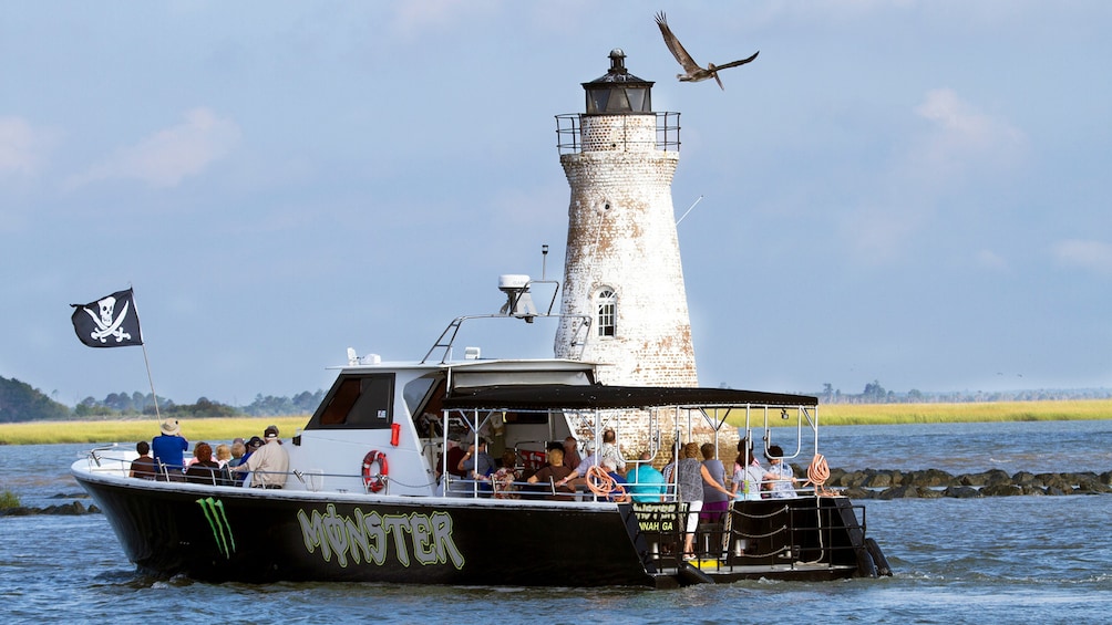 Tybee Island Dolphin Tour