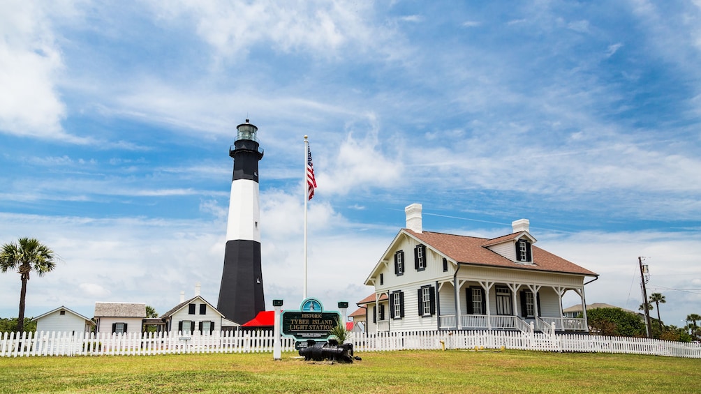 Tybee Island Dolphin Tour