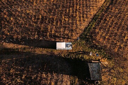 Beaujolais and Burgundy Private Winter Wine Day Tour From Lyon