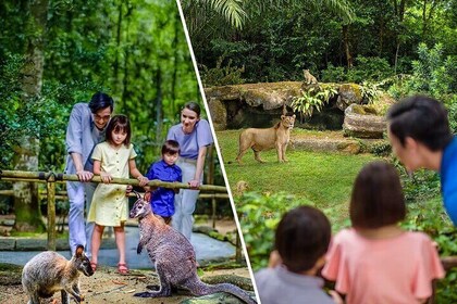 2-Park Combo Night Safari + Singapore Zoo Tickets