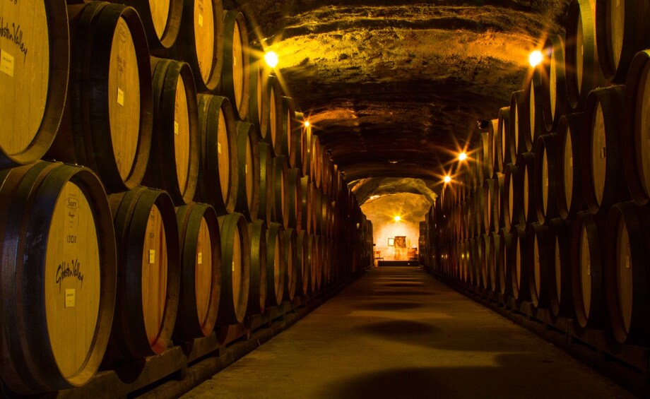 Dunedin Wine Tasting - Dunedin Wine Tours | Travelocity