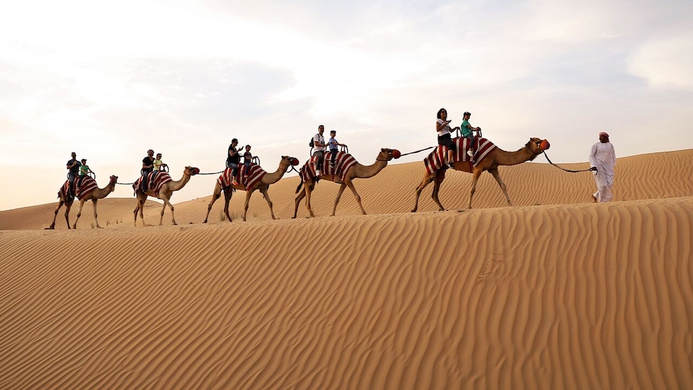 Dubai Morning Safari: Red Dunes, Sandsurf, Camels & Brunch 