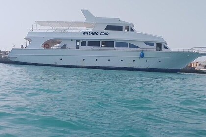 VIP Private Boat Trip to Dolphin House or Paradise or Orange Bay