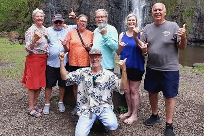 Small Group Shared Tahiti Circle Island Waterfalls and Views