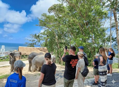 Phuket: Guided Tour to Elephant Sanctuary & Hotel Transfer