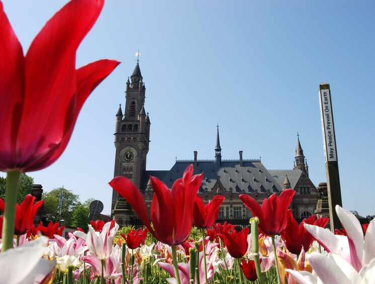 Show item 2 of 10. Small group full day trip to Rotterdam, Delft and The Hague