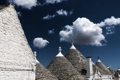 Private UNESCO Heritage Tour Castel del Monte and Alberobello