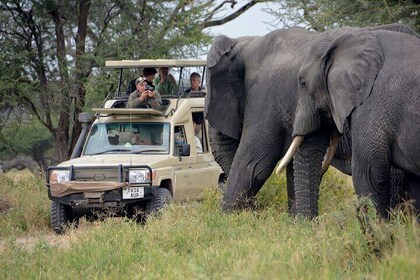 9-Days Best Kenya Wildlife Private Family Safari from Nairobi