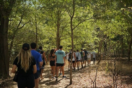 Labuan Bajo Komodo Day Tour