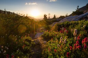3 Days in the Rockies