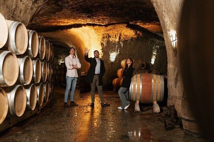 Exclusive Rioja Wine and Dining Experience from Donostia