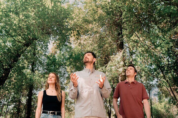 Visita Guiada Premium Centro del Vino Concha y Toro