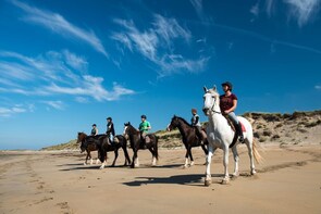 Beach horse-riding in Connemara-Full day from Galway
