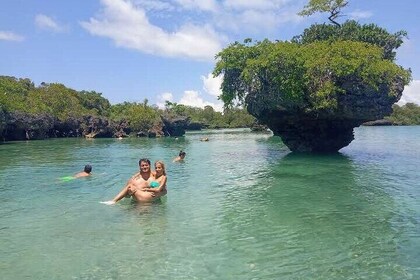 Safari Blue Excursion Full Day with Lunch