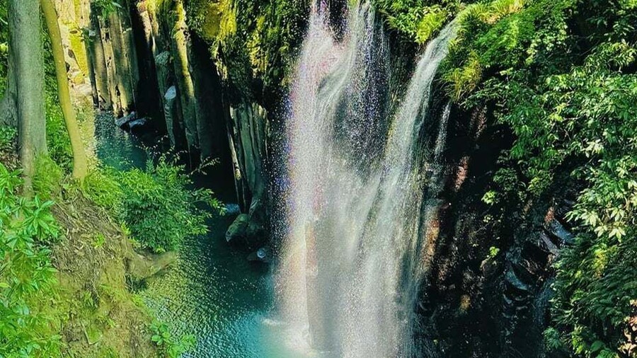 Fukuoka: Takachiho Gorge & Amano-Iwato Shrine Day Trip