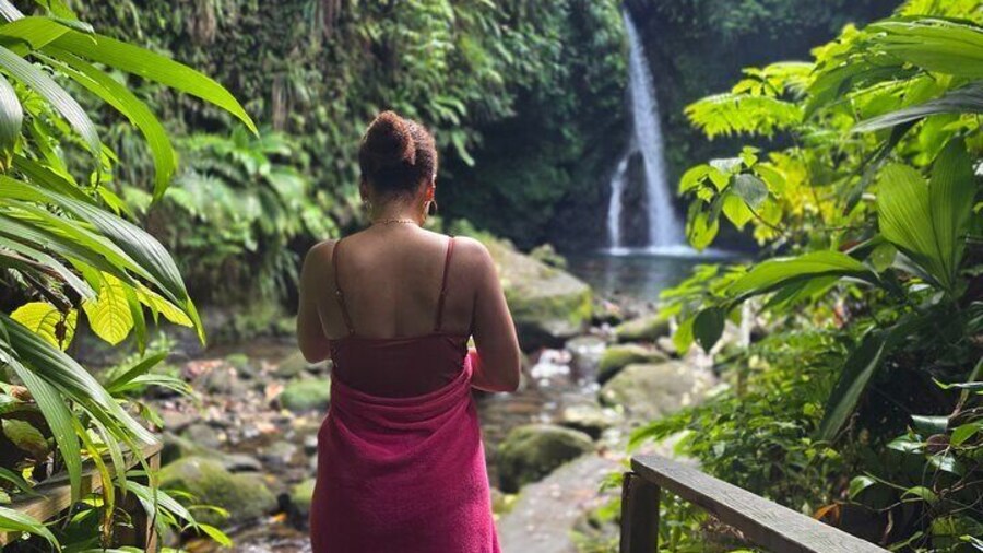 Chasing Waterfalls Dominica