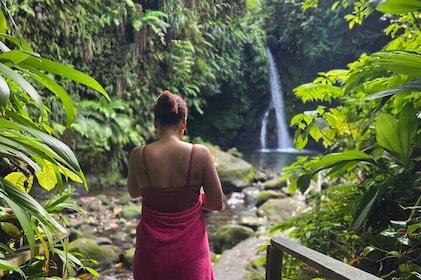 Chasing Waterfalls Dominica