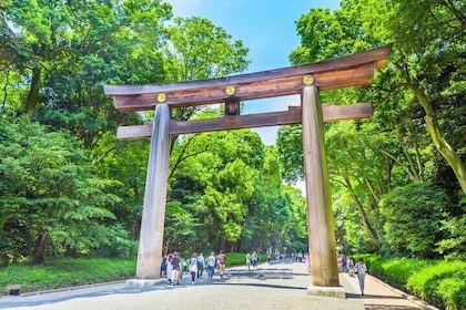Tokyo 6 Hour Meiji Jingu & Omotesando & Shibuya Private Tour