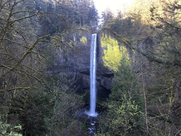 Columbia River Gorge Waterfalls
