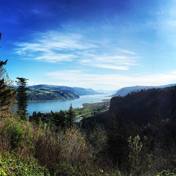 View of the Columbia River Gorge during the day 