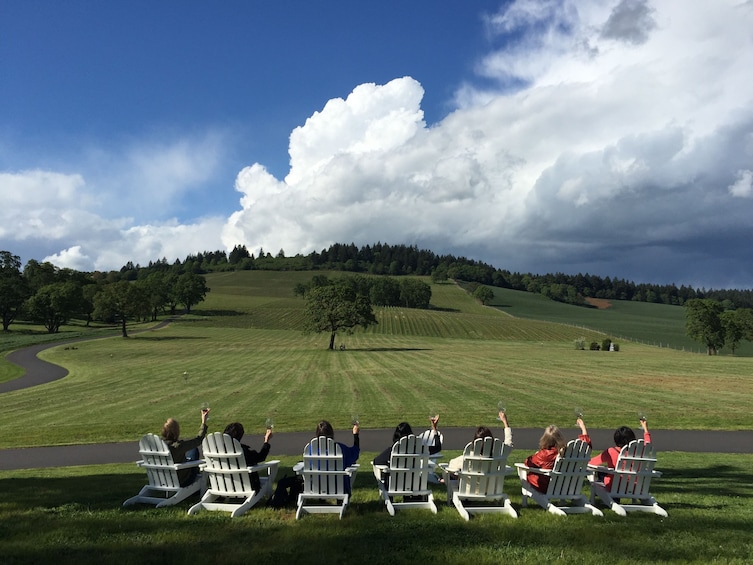 Group sitting on wine lawn chairs holding up wine glasses while on the Willamette Valley Wine Tour