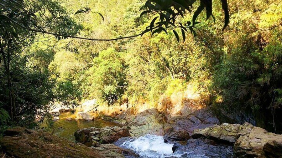 Rafting and Adventure on the Waters of Paraty