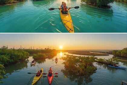 4 Hours Kayaking Adventure in Qatar Purple Island Mangroves