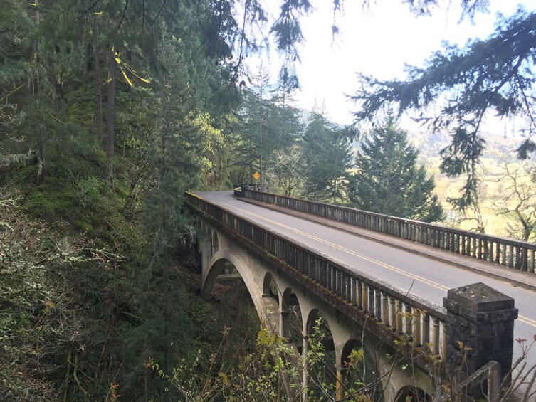 Bridge at the Columbia River Gorge