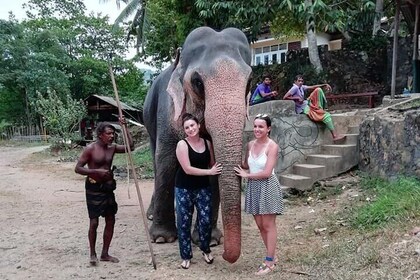 Private Day Tour of Sigiriya, Dambulla and Elephant Safari