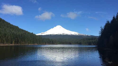 Grupo privado, día completo: recorrido por el monte Hood y el desfiladero d...