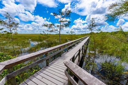 Audio Guided Driving Tour in Everglades National Park