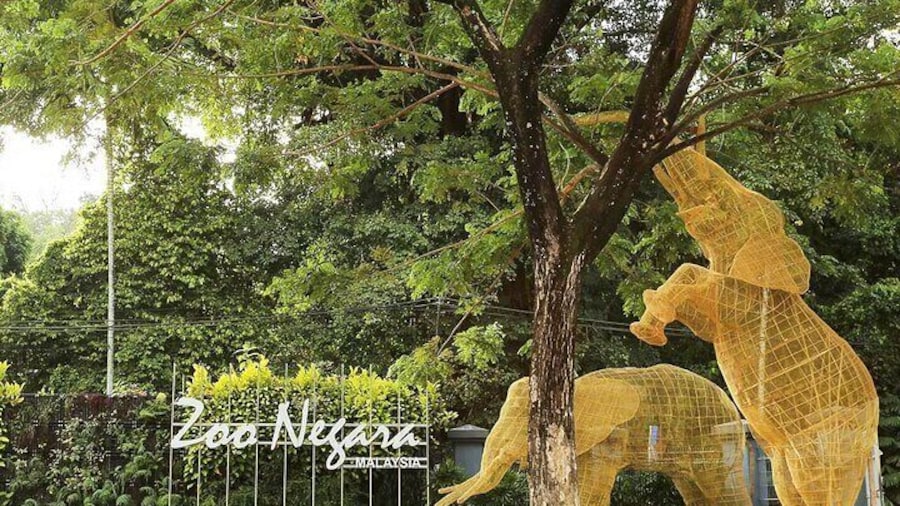 Zoo Negara and Panda Conservation Centre Tickets