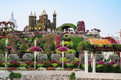 Dubai Miracle Garden Admission Tickets Entry From Rasalkhima