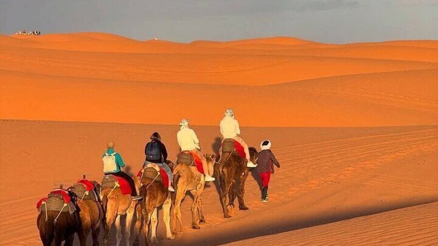 3 Day Sahara Desert Adventure from Marrakech with Camel Trek