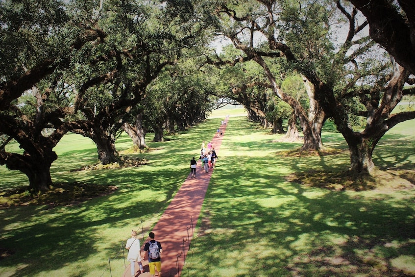 Visitors at Oak Alley Plantation