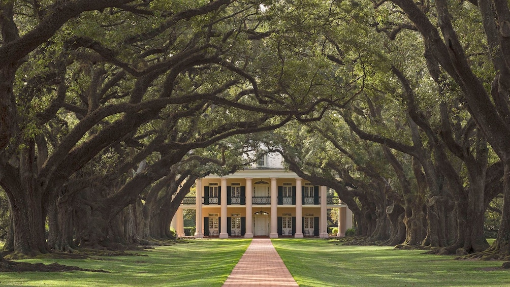 Oak Alley Plantation in New Orleans 